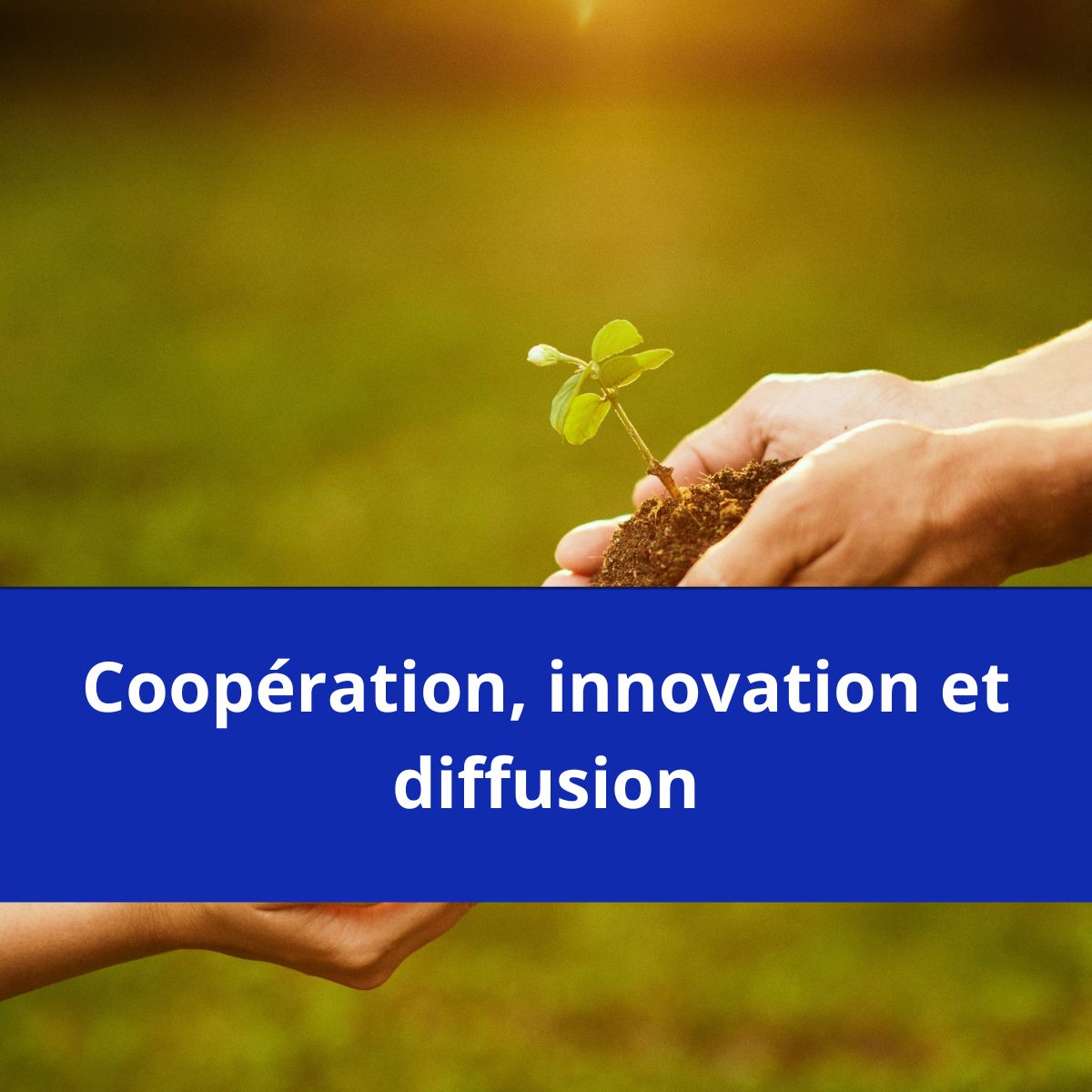 Innovation,diffusion et coopération
