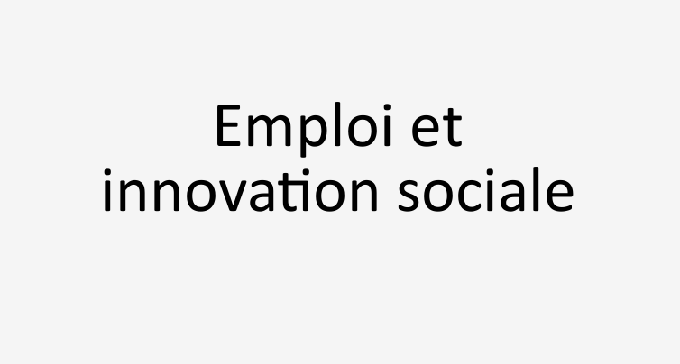 Programme Emploi et innovation sociale