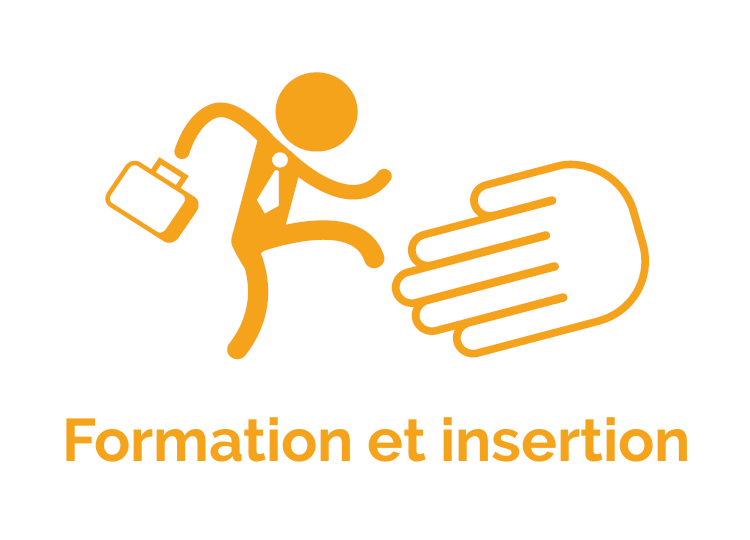 Formation et insertion