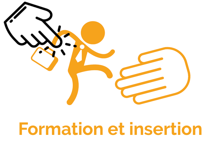 Formation et insertion