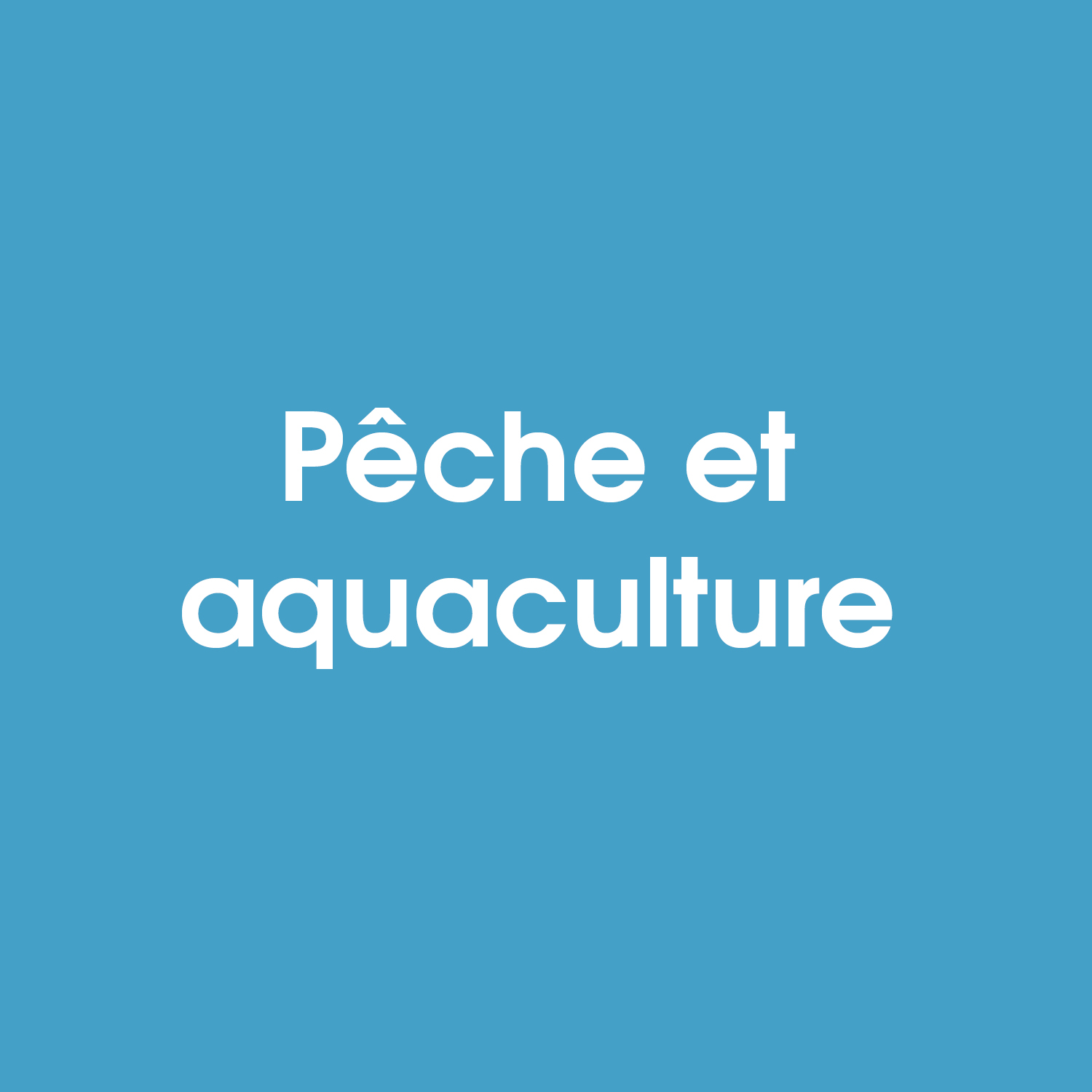 Exemples de projets en transition écologique, énergétique et mobilités douces Retrouver les projets soutenus par Europe en Nouvelle-Aquitaine en pêche et aquaculture