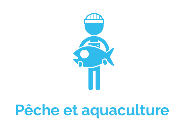 Pêche et aquaculture
