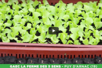 Agriculture et forêt en Nouvelle-Aquitaine Agriculture et forêt en Nouvelle-Aquitaine