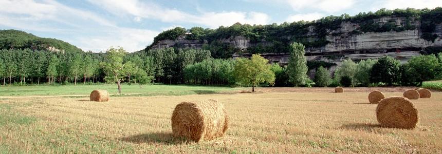 © Bonnaud Guillaume © Bonnaud Guillaume