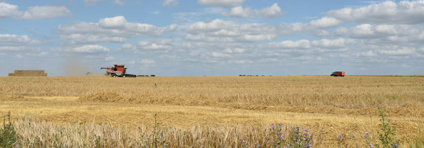 © Région Nouvelle-Aquitaine_Francoise Roch © Région Nouvelle-Aquitaine_Francoise Roch