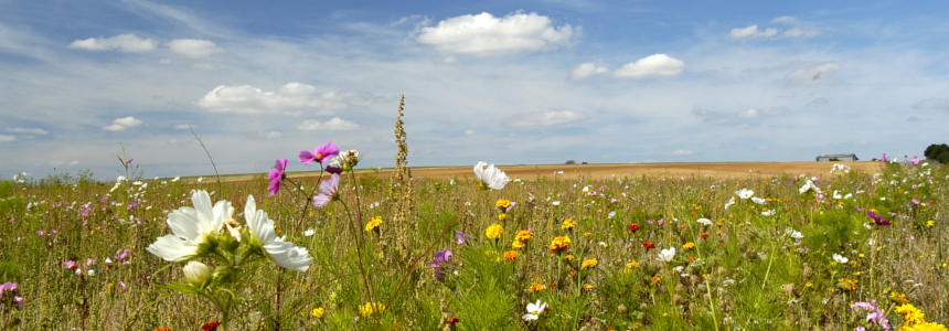 © Fotolia