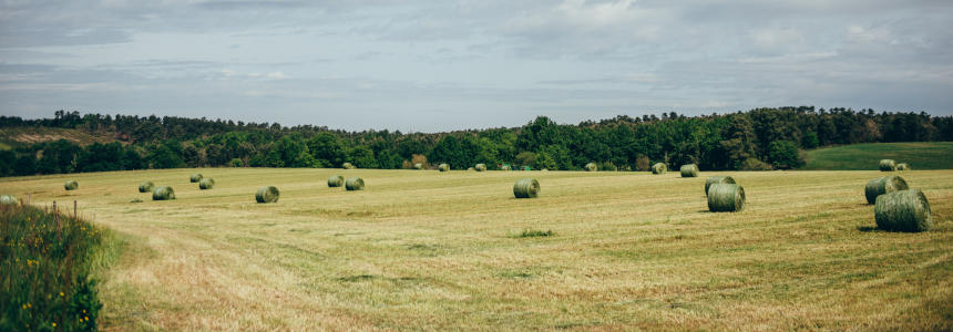 © Région Nouvelle-Aquitaine Sébastien Le Clézio
