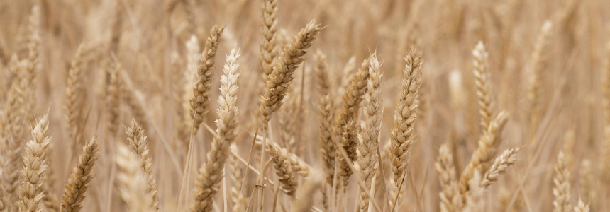 ©Région Nouvelle-Aquitaine - Sébastien Blanquet-Riviere