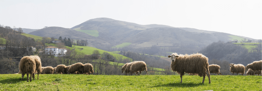  © Région Nouvelle-Aquitaine- Sébastien_Blanquet-Riviere