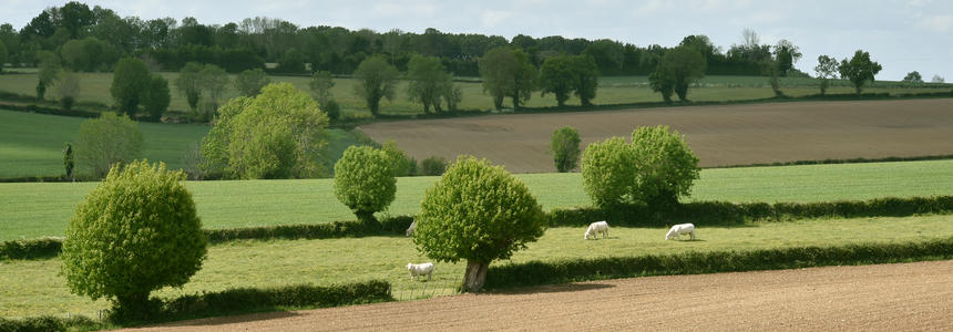 Région Nouvelle-Aquitaine_Francoise Roch