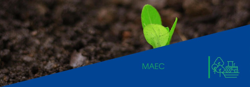 MAEC en agriculture Découvrez les aides MAEC portées par l'Europe en Nouvelle-Aquitaine