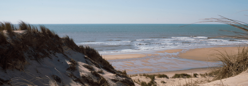 © Région Nouvelle-Aquitaine Sébastien Blanquet-Riviere