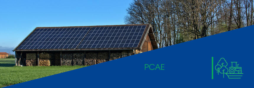 PCAE PCAE en Région Nouvelle-Aquitaine