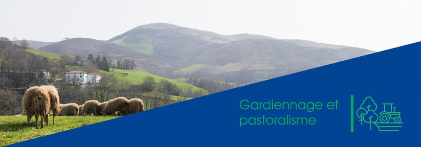 Pastoralisme Soutien au pastoralisme grâce à Europe en Nouvelle-Aquitaine