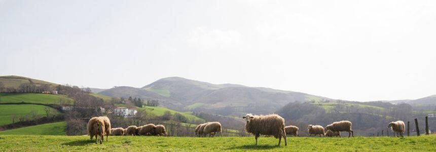 © Région Nouvelle-Aquitaine - Sébastien Blanquet-Riviere © Région Nouvelle-Aquitaine - Sébastien Blanquet-Riviere