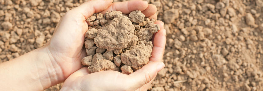 Terre dans les mains d'un être humain Terre dans les mains d'un être humain