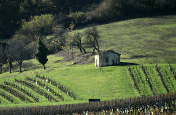 © Région Nouvelle-Aquitaine_Francoise_Roch