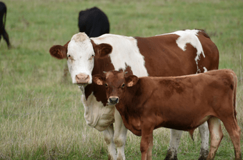 © Région Nouvelle-Aquitaine-Francoise_Roch