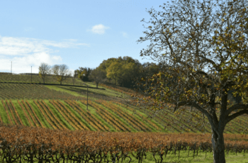 © Région Nouvelle-Aquitaine_Francoise Roch