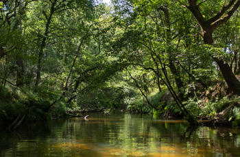 © PR_PNR_Landes_2022-08-09 (44)