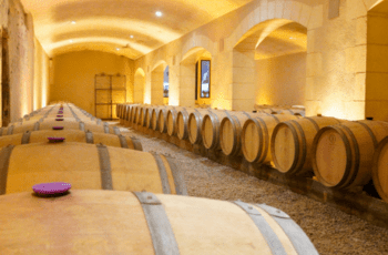 © Région Nouvelle-Aquitaine  Sébastien Blanquet-Riviere