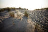 Plage baignée de lumière - AAP Aménagement durable des plages